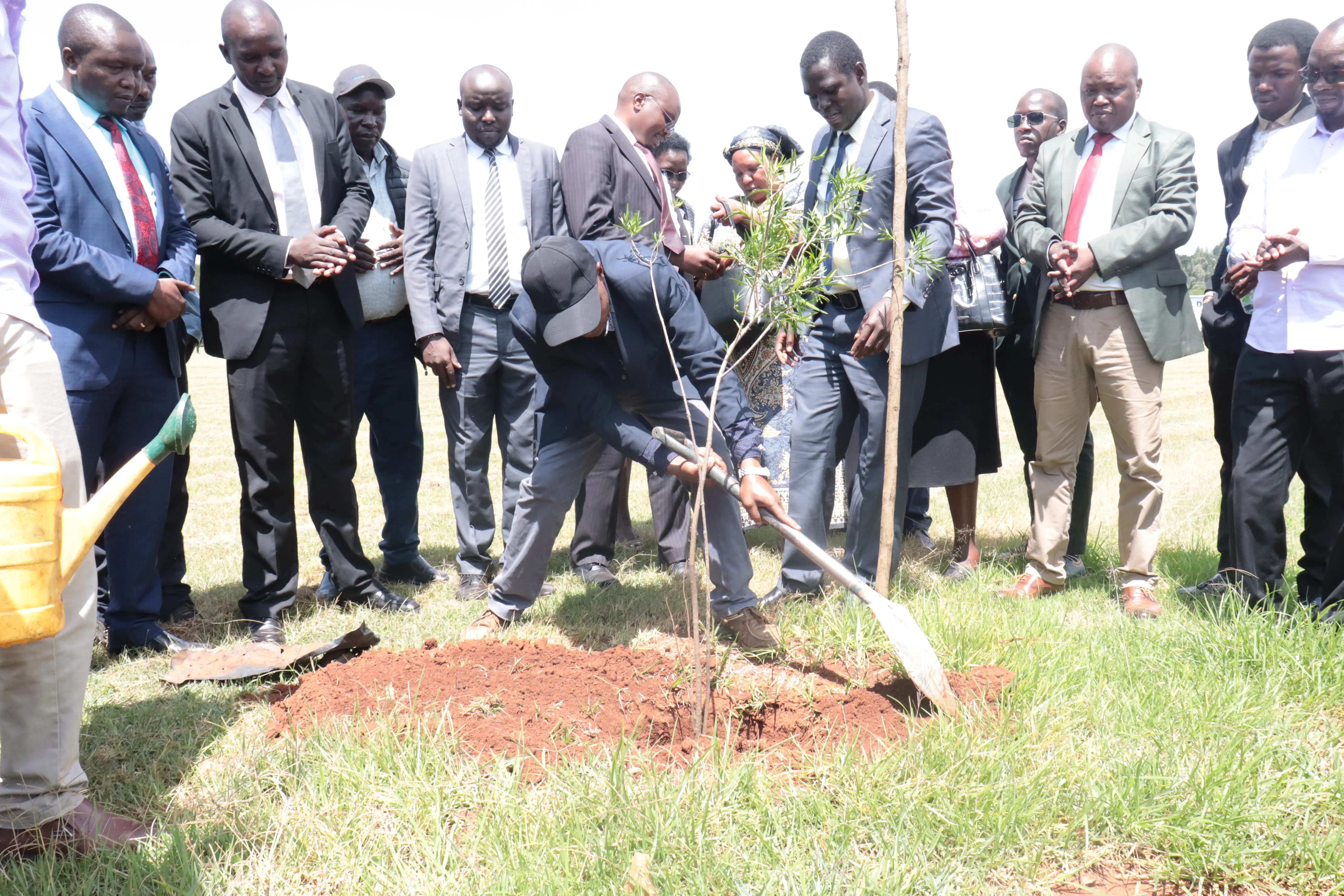 Home New Kenya Planters Cooperative Union PLC (NKPCU)